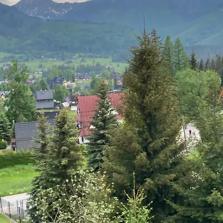 Ranchobachleda 考斯赛力克